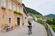 Athletic cycling on the Danube - Wachau